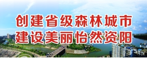 大鸡巴操逼免费看高清创建省级森林城市 建设美丽怡然资阳