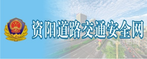 好爽爽网站资阳道路交通安全网